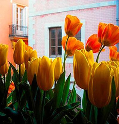 Boutique Hotel Davallada- Adults Only Сиджес Экстерьер фото